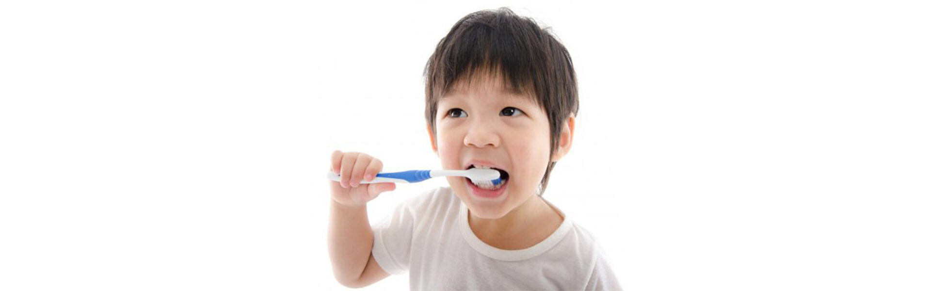 Dental Fillings in Westwood, MA